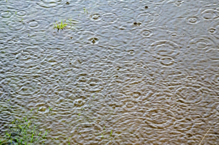 Ilkley Moor in the Rain by Sharon Sawyer